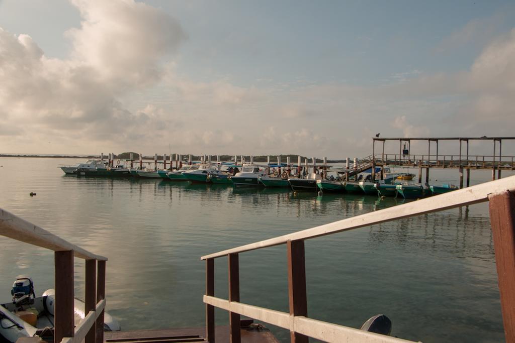 Chez Manany Galapagos Ecolodge Пуерто-Вільяміль Екстер'єр фото