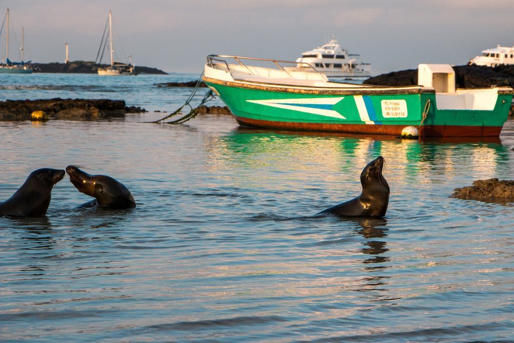 Chez Manany Galapagos Ecolodge Пуерто-Вільяміль Екстер'єр фото