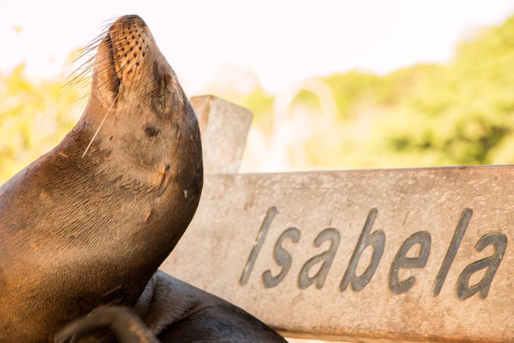 Chez Manany Galapagos Ecolodge Пуерто-Вільяміль Екстер'єр фото