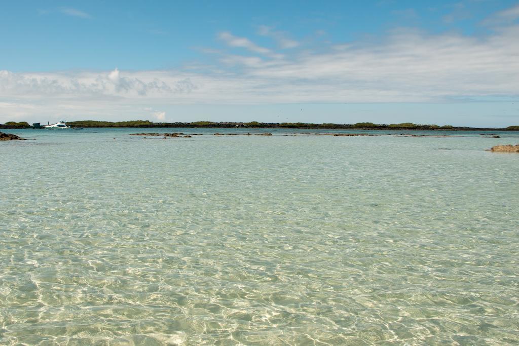 Chez Manany Galapagos Ecolodge Пуерто-Вільяміль Екстер'єр фото